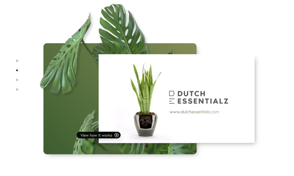 Dutch Essentialz